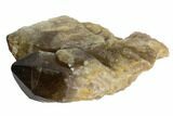 Smoky Citrine Crystal Cluster - Lwena, Congo #128413-1
